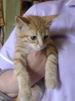 DSC07761.JPG