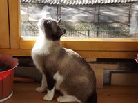 DSCF1633.JPG