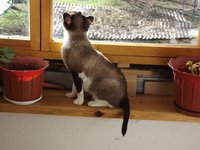 DSCF1634.JPG