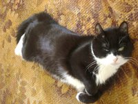 DSC07786.JPG