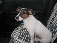 20130512185651_5555 022.jpg