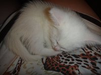 DSC01122.jpg