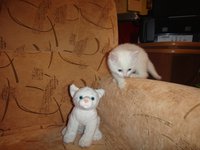DSC01124.jpg
