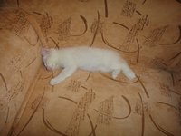 DSC01171.jpg