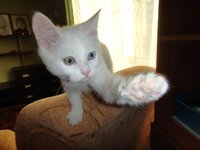 DSC01226.jpg