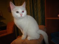 DSC01495.jpg
