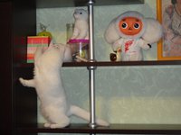 DSC01507.jpg