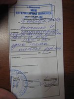 квитанция м.JPG