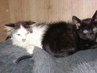DSC01118.JPG