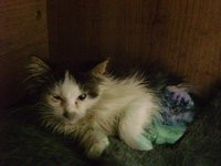 DSC01123.JPG