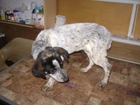 DSC01164.JPG