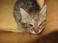 IMG_2610.JPG