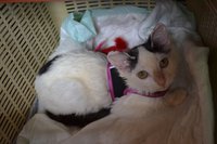 DSC_0244.jpg