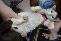 DSC_0245.jpg