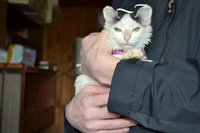 DSC_0247.jpg