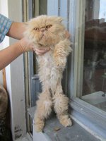 лето2011 012.JPG