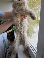 лето2011 005.JPG