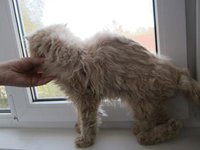 лето2011 006.JPG