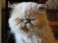 лето2011 041.JPG
