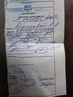 лето2011 044.JPG
