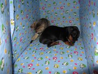 IMG_2720.jpg