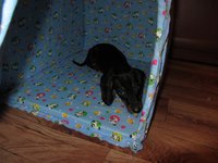 IMG_2730.jpg