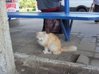 Изображение 059.jpg