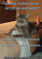 пипатп.jpg