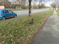 20131019_161218.jpg