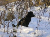 P1010028-2.jpg