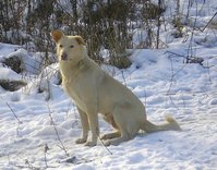 P1010009-2.jpg