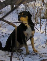 P1010028-1.jpg