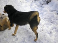 P1010023-1.jpg