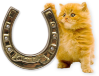 0_94b67_42d758e2_orig.png