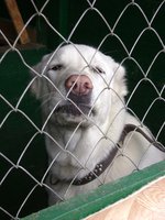 DSC01176.JPG