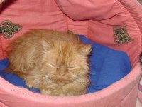 DSC01202.JPG
