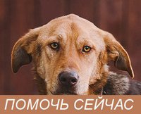 0d2f093fc29a.jpg
