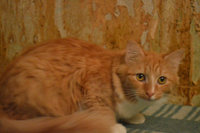 DSC_0499.JPG