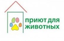 Aktsiya-priyuta-dlya-zhivotnyih.jpg