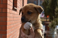 DSC_2292_новый размер.JPG