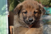 DSC_2348_новый размер.JPG