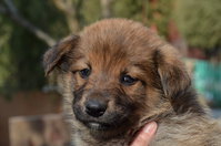 DSC_2384_новый размер.JPG