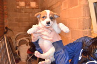DSC_2725_новый размер.JPG