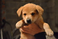 DSC_2735_новый размер.JPG