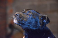 DSC_2760_новый размер.JPG