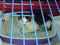 DSC01215.JPG