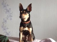 U-7ae75LLfI.jpg (6.68 КБ) 2492 просмотра U-7ae75LLfI.jpg