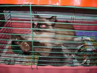 DSC01208.JPG