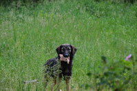 DSC_4943_новый размер.JPG