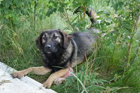 DSC_4985_новый размер.JPG